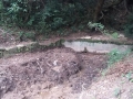 fontes_resende_costa (4)